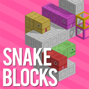 snake blocks toy